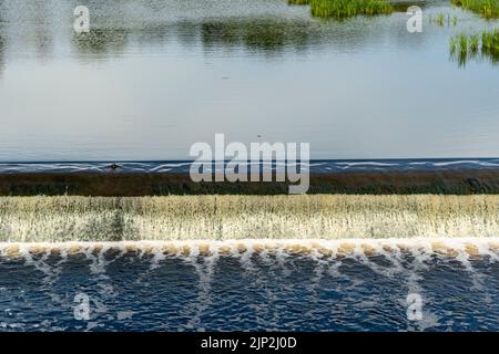 Damm auf einem kleinen Fluss. Das Wasser fließt aus dem kleinen Flussdamm, kocht, schäumt Stockfoto