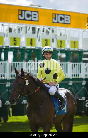 Jockey Daniel Tudhope am Eagle Day. Stockfoto