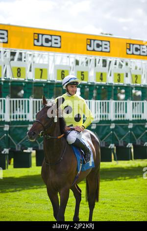 Jockey Daniel Tudhope am Eagle Day. Stockfoto