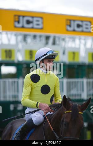 Jockey Daniel Tudhope am Eagle Day. Stockfoto