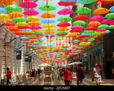 Panorama und Hintergrund mit farbigen Schirmen auf einer Straße in Timisoara, Stockfoto