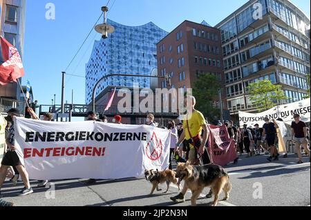 DEUTSCHLAND, Hamburg, climatecamp 2022, Kundgebung für Klimaschutz und Klimagerechtigkeit und gegen fossile Brennstoffe wie LNG Erdgas Fracking Kohle Öl Kernkraft Stockfoto