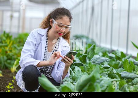 Wissenschaftler Frau Forscher Mitarbeiter sammeln Studie Pflanzeninformationen in der Landwirtschaft Bauernhof. Agrarwissenschaftliches Konzept. Stockfoto