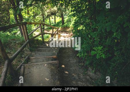 Alte Holztreppen aus Baumstämmen im Wald. Stockfoto