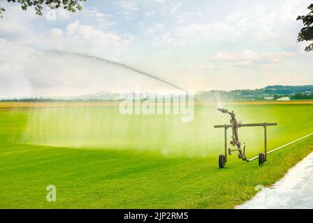 Grünes Rasengras bekommt Wasser mit einer Sprinkleranlage mit selbstfahrendem Trägerrakete auf dem Bauernfeld an sonnigen Tagen. Stockfoto