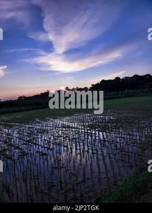 Schönes Bild von Bangladesh Nat Stockfoto