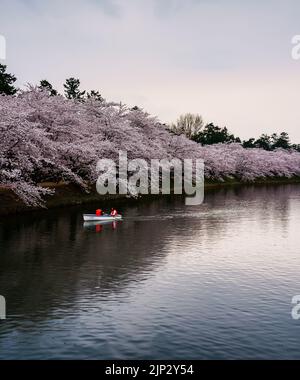 Eine wunderschöne Aussicht auf Touristen, die in den Cherry Flüssen um das Hirosaki Schloss paddeln Stockfoto