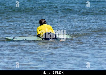 Der Rücken einer jungen kaukasischen Frau entspannte sich auf einem Surfbrett im Meer Stockfoto