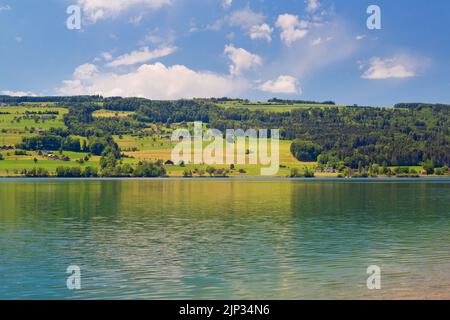 Baldeggsee im Kanton Luzern, Schweiz Stockfoto