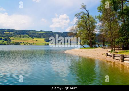 Baldeggsee im Kanton Luzern, Schweiz Stockfoto