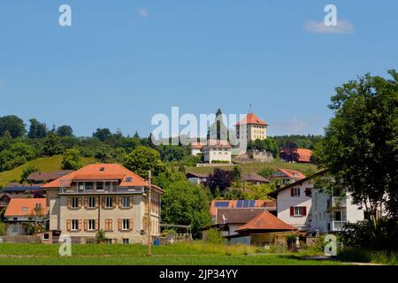 Schönes Schloss Baldegg im Kanton Luzern, Schweiz Stockfoto