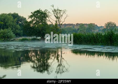 Sommeraufgang am Fluss Avon in Salisbury, Wiltshire, England. Stockfoto