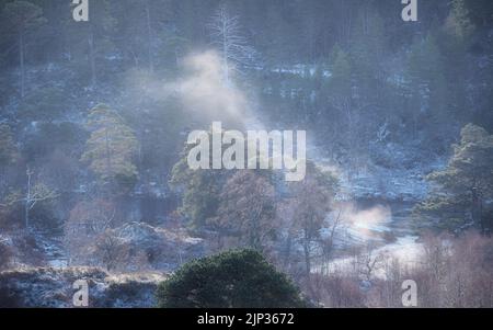 Am frühen Morgen brannte das Sonnenlicht den Nebel und Nebel vom Fluss, Glen Affric Stockfoto