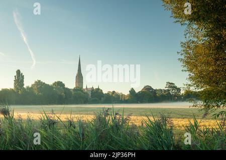 Sonnenaufgang bei Harnham Water Meadows in Salisbury, England. Salisbury Kathedrale in der Ferne. Stockfoto