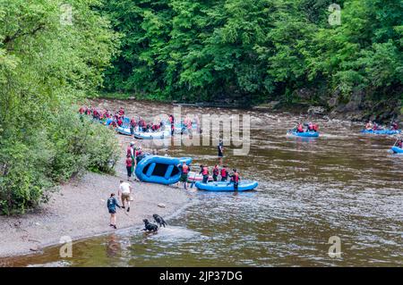 Rafting auf dem Lehigh River, Jim Thorpe Pennsylvania, USA Stockfoto