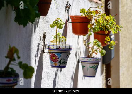 Weiße Wand mit hängenden Töpfen von grünen Pflanzen und Blumen in verschiedenen Farben. Verschwommene Stimmung. Spanien. Stockfoto