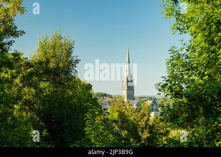 Salisbury Cathedral an einem Sommernachmittag vom Harnham Hill aus gesehen. Wiltshire, England. Stockfoto