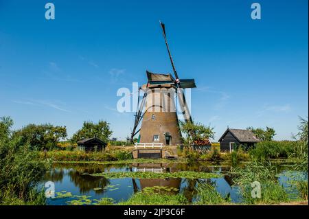 Kinderdijk, Niederlande. 13. August 2022. Ein Blick auf die berühmten Windmühlen an einem sehr warmen Tag. In der schönen, wasserreichen Gegend in der Nähe von Dordrecht finden Sie die Windmühlen von Kinderdijk. Diese 19 prächtigen Windmühlen, die um 1740 erbaut wurden, stehen dort als Teil eines größeren Wassermanagementsystems, um Überschwemmungen zu verhindern. Heute symbolisieren sie die niederländische Wasserwirtschaft und wurden 1997 zum UNESCO-Weltkulturerbe erklärt. Jedes Jahr besuchen Tausende von Touristen aus der ganzen Welt diesen ikonischen Ort. Kredit: SOPA Images Limited/Alamy Live Nachrichten Stockfoto