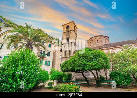 kirche, kotor, St. mary Collegiate, Kirchen, kotors Stockfoto