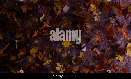 3D Rendern. Eine Nachtszene in der Herbstsaison mit Blättern, die in einem Wald auf den Boden fallen. Vorlage mit farbenfrohen Herbstmotiven gefüllt Stockfoto
