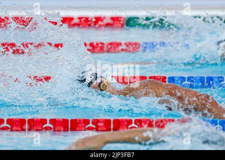 ROM, ITALIEN - 15. AUGUST: Marco de Tullio aus Italien während der Männer-Freestyle 200m beim European Aquatics Roma 2022 im Stadio del Nuoto am 15. August 2022 in Rom, Italien (Foto: Nikola Krstic/Orange Picles) Stockfoto