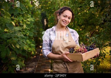 Lächelnde junge Frau, Winzerin, Winzer, Weinbauerin in einer Holzkiste mit frischer Ernte von Bio-Trauben Stockfoto