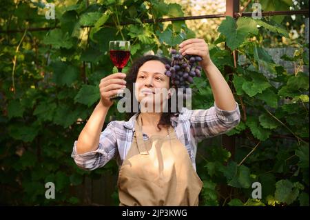 Angenehme Frau Winzer Amateur, Weinbauer, Winzer Untersuchung ein paar Trauben und ein Glas Wein in der Sonne. Stockfoto