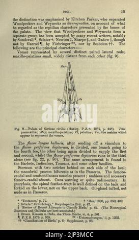 Die Fauna von Britisch-Indien, Ceylon und Burma (Seite 15) einschließlich Stockfoto