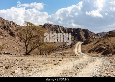 Wadi Shawka Wanderweg, kurvenreiche Schotterstraße durch das Wadi Shawka Flussbett und die felsigen Hajar Berge aus Kalkstein, Vereinigte Arabische Emirate. Stockfoto