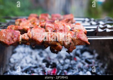 Appetitlich saftiger Shish Kebab auf Spiessen, gebraten auf dem Grill Stockfoto
