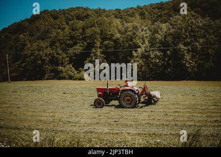 Ein großer roter Traktor auf einem ländlichen grünen Feld Stockfoto