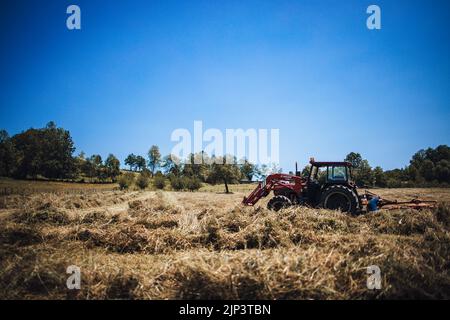 Ein großer roter Traktor auf einem ländlichen Feld mit trockenem Gras Stockfoto
