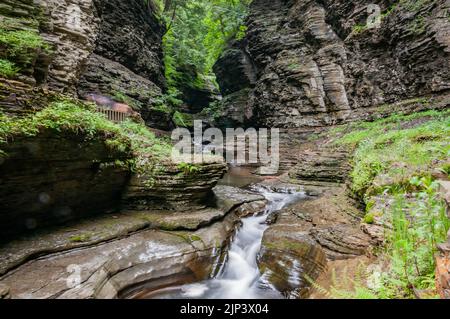 Wasserfälle in Watkins Glen New York, USA, Watkins Glen, New York Stockfoto