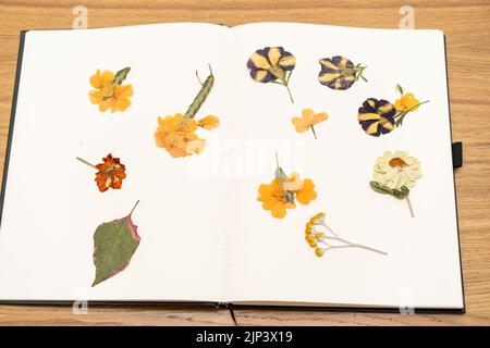 Altes Buch mit Trockenblütensammlung. Herbarium Buch, um getrocknete und gepresste Blumen zu halten. Stockfoto