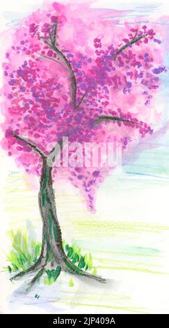 Ein rosa blühender Obstbaum. Aquarell auf Papier Stockfoto