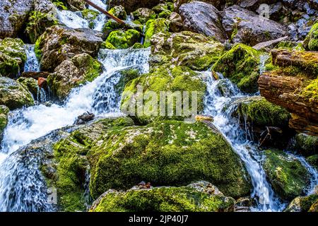 Frisches Wasser fließt über Felsen und Steine auf einem Flussbett, in einer wunderschönen Naturlandschaft Stockfoto