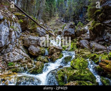Frisches Wasser fließt über Felsen und Steine auf einem Flussbett, in einer wunderschönen Naturlandschaft Stockfoto