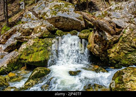 Frisches Wasser fließt über Felsen und Steine auf einem Flussbett, in einer wunderschönen Naturlandschaft Stockfoto