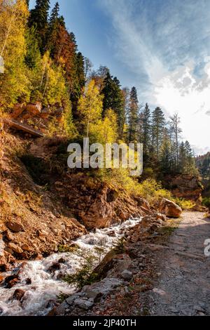 Frisches Wasser fließt über Felsen und Steine auf einem Flussbett, in einer wunderschönen Naturlandschaft Stockfoto