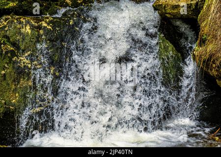 Frisches Wasser fließt über Felsen und Steine auf einem Flussbett, in einer wunderschönen Naturlandschaft Stockfoto