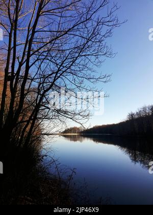 Stausee Santa Fe / Panta de Santa Fe / Parc Natural Montseny, Katalonien Stockfoto