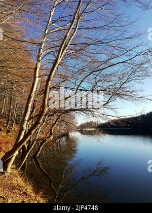 Stausee Santa Fe / Panta de Santa Fe / Parc Natural Montseny, Katalonien Stockfoto
