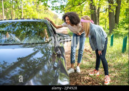 Zwei junge Frauen im Gespräch mit dem Mann im Auto Stockfoto