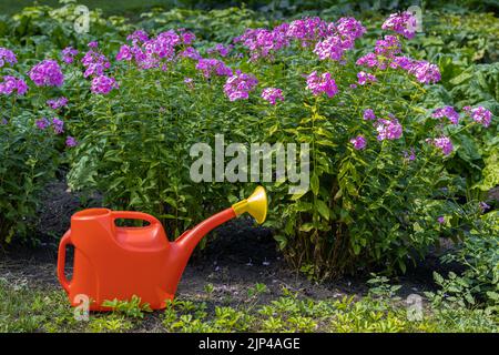 Auf einem Blumenhintergrund steht eine rote Gießkanne aus Kunststoff. Hochwertige Fotos Stockfoto