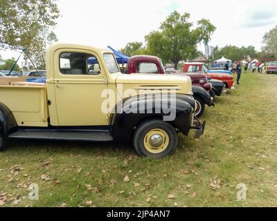 Alte creme und schwarz Utility Ford Pickup LKW 1942 - 1947 auf dem Land. Seitenansicht. Naturgrasbäume. Oldtimer-Show. Copyspace Stockfoto