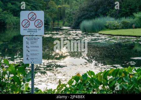 Warnzeichen und Information über Keine Fütterung von Tieren im Botanischen Garten, Singapur. Speicherplatz Kopieren. Stockfoto