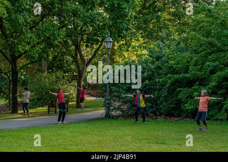 Eine Gruppe von Menschen, die im Botanischen Garten in Singapur trainieren. Horizontale Aufnahme. Stockfoto