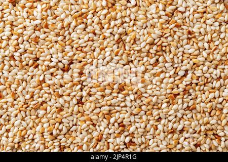 Geröstete Sesamsamen Makro Hintergrund. Textur von geröstetem Sesamum indicum closeup. Bio-Benne-Samen als Zutat der asiatischen Küche. Weiß til. Stockfoto