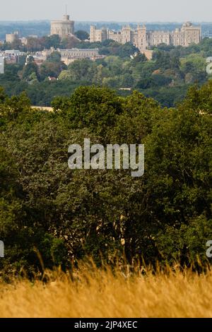 Windsor, Großbritannien. 15.. August 2022. Das Schloss Windsor wird von sonnengebleichtem Parkland im Windsor Great Park aus gesehen. Fünf Monate unterdurchschnittlicher Niederschläge in Kombination mit extremer Hitze aufgrund des Klimawandels haben in Teilen von Süd- und Zentralengland zu rekordbrechenden Dürren geführt. Kredit: Mark Kerrison/Alamy Live Nachrichten Stockfoto