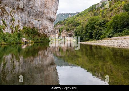 Reflexion im Fluss, Gorges du Tarn, Lozere, Frankreich Stockfoto